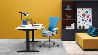 homoffice5.jpg