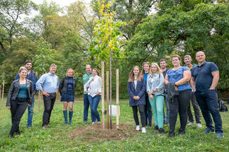 Az ATENOR 2020 fát ültetett el Budapesten