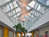 Kiadó iroda DBH Serviced Office Buda Square