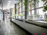 Kiadó iroda EURÓPA CENTER IRODAHÁZ