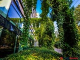 Kiadó iroda Green House